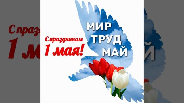 #мир #труд #май #studiokupriyanov #графика #веб