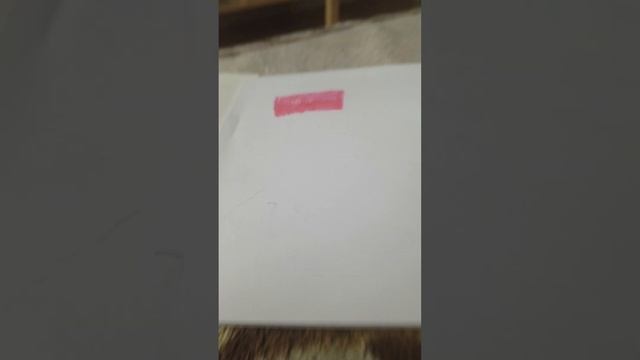 11 февраля 2024 г.