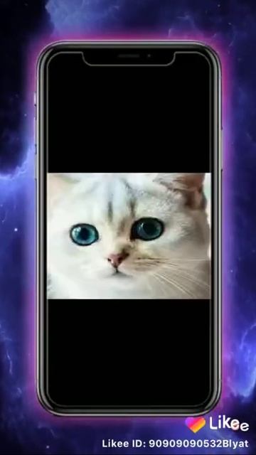 ох мило!!!! Котики отвечают на звонки😍😊