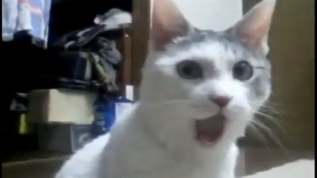 Завтра на работу??? 0_0