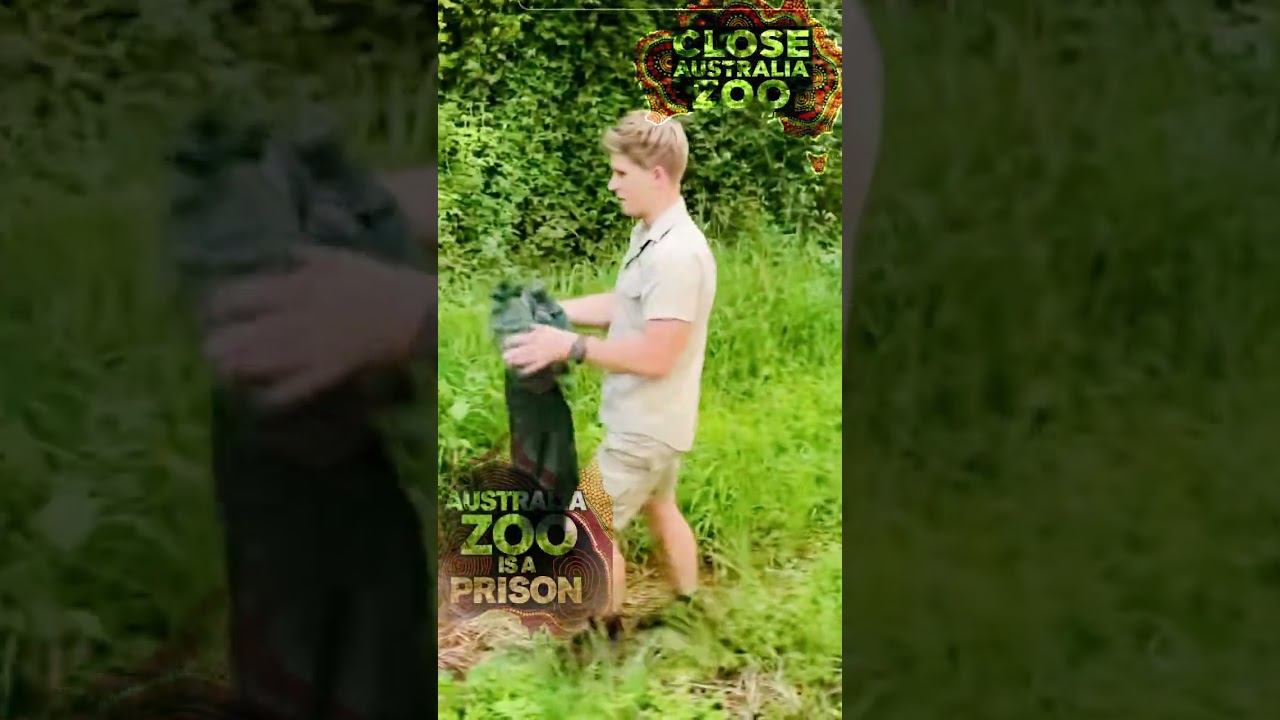 35548e626f7207d86eb28cf24862f6aa