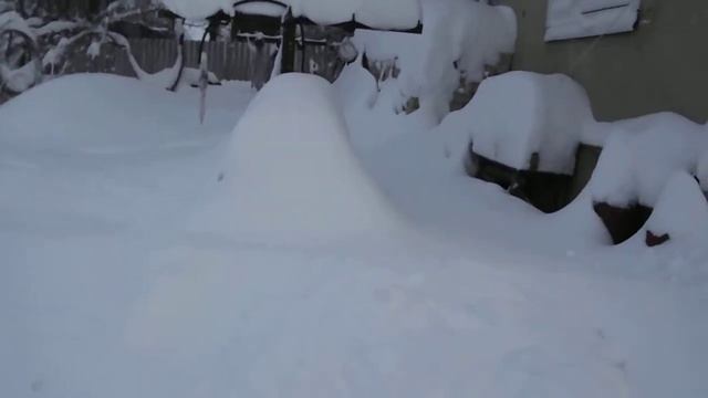 Наконец то выпал снег.