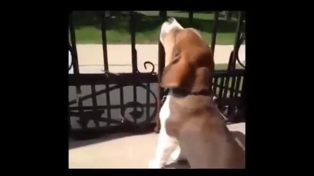 Fad9616c8e918602c90d515feaa26d97