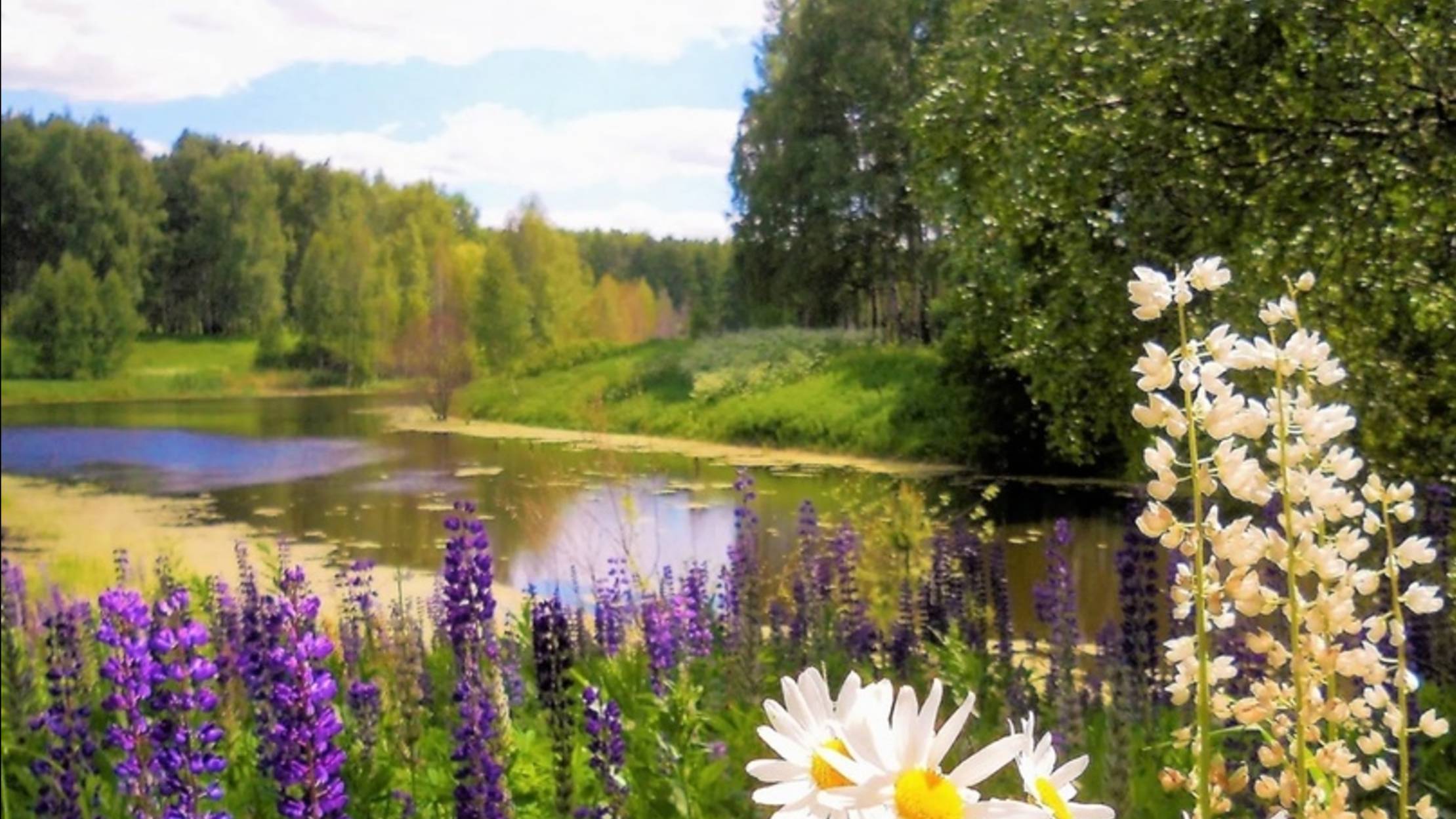 Video_20250501191848107_by_Filmigo