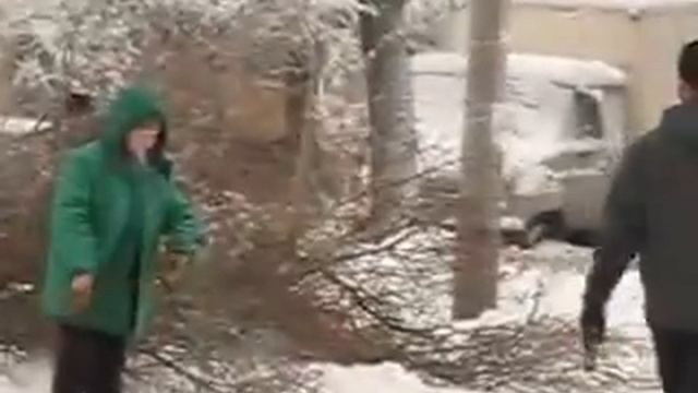 Кустики срезали