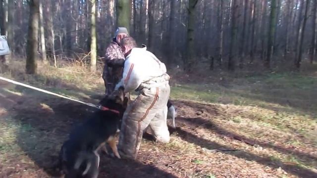 83e4176b742f479329c5b99b6fc107d3