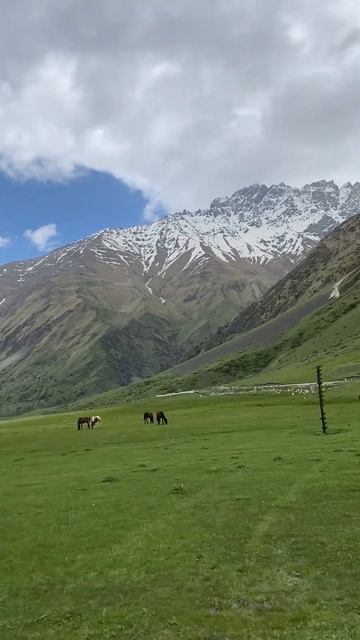 Уштулу 🤍 #горы #кбр #эльтюбю #верхняябалкария #кавказ #туризм #лошади ####
