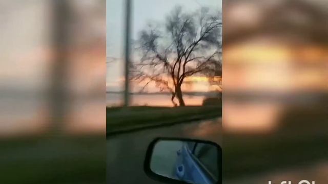 Medvedev - Город спит)