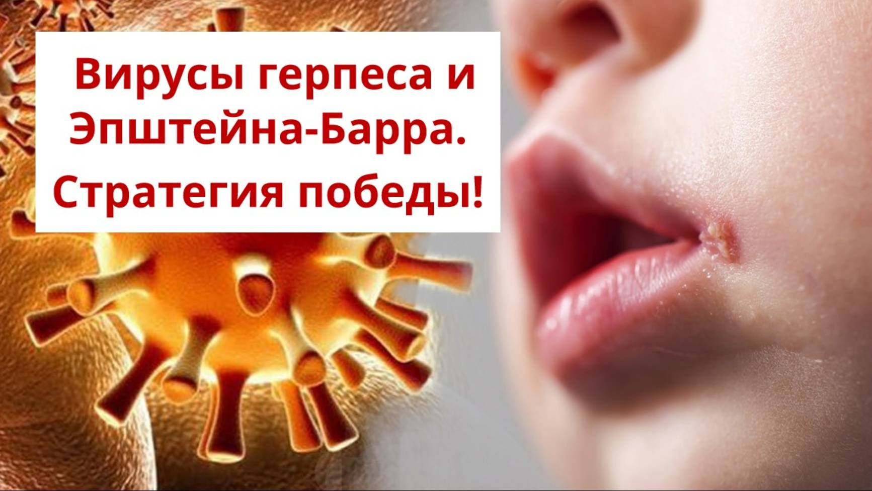 Ba5cb880633a422391bc951a78511cc0