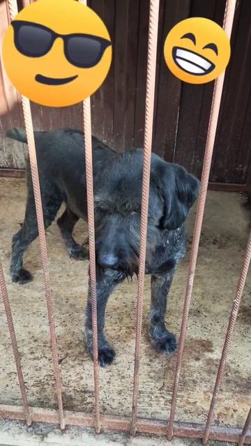 Fd11a176cd5b2b57e56b1cef2db1d8fb