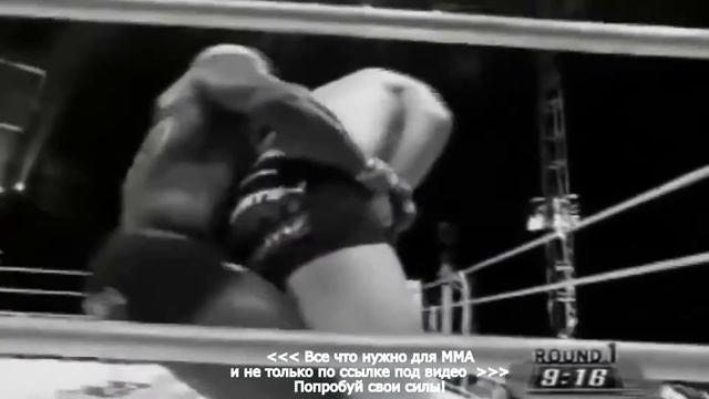 перчатки мма москва