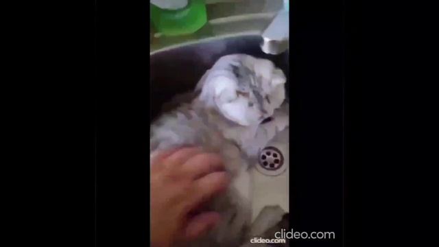 33cd4ece4effcab5bec6fa3edadedbd5