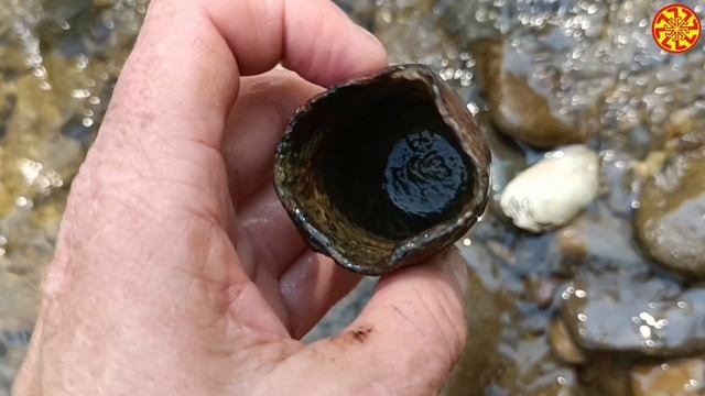 ДНКА Поиск Реликтов