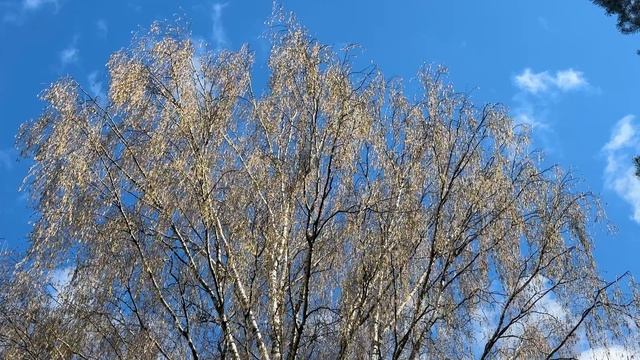 74b4767bcabc7fc0a36a2c5e5a566a42