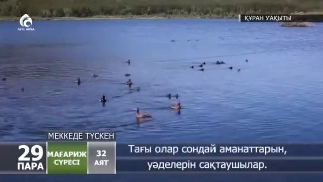 Уход на профилактику канала 