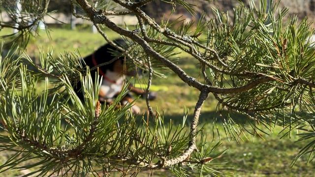 C5e5dd9040e5552c4faea6792dbffc40