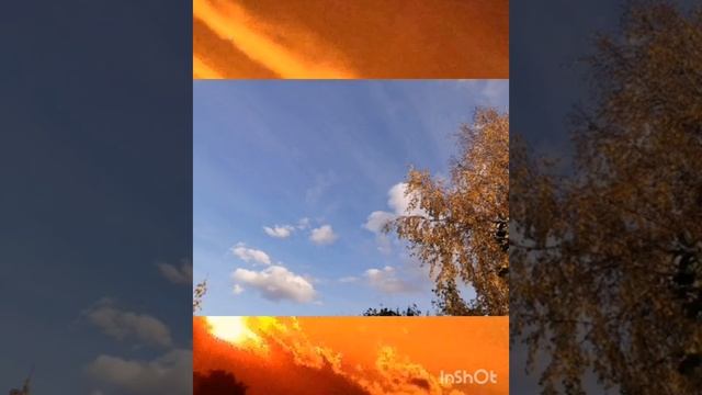 Df78c4549b1b4c0d3d225426d7916b77