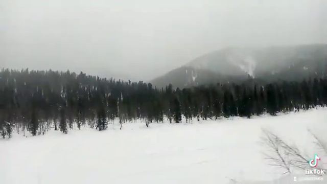 природа ,Сибирь ,дорога снег