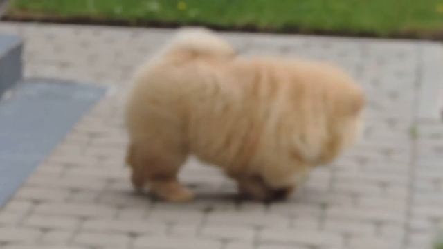 Мое измененное видео