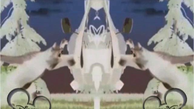 Masha E Orso Intro CoNfUsIoN