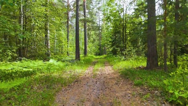 DJI MINI 4 PRO  RELAX  