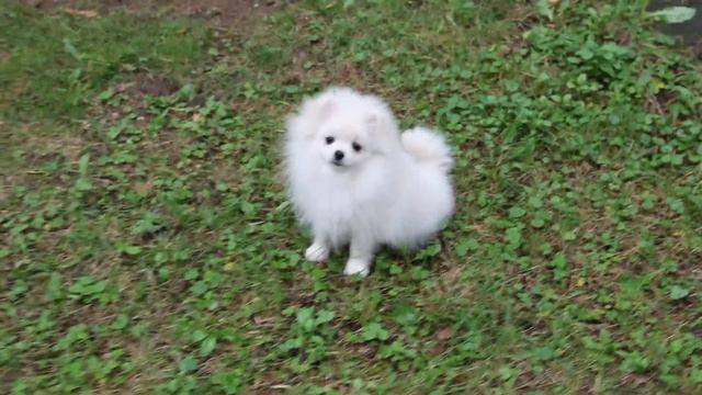 Fb00edd0f176cc76791d6ebb817c37b6