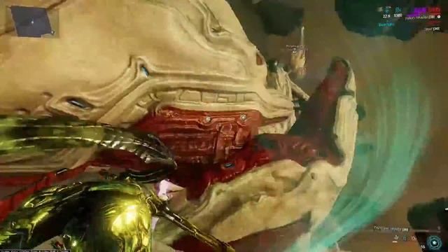 Warframe. Что это за курица? Приколы и фэйлы