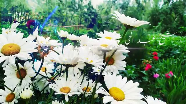 💕Мухаммад💝(с а в) Сарвари🌷Харду Чахон аст🌹Бехтарин Нашид 🇹🇯