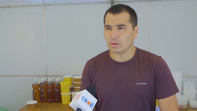 Пасека Кучаевых в Березниках