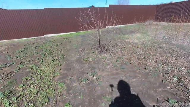 #vlog#вот и растаял снег,огород ждёт меня