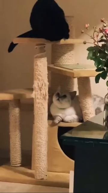 Настроение 