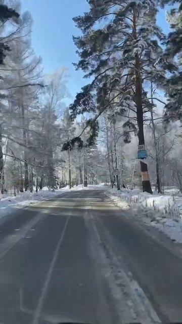 Сибирские морозы #shorts