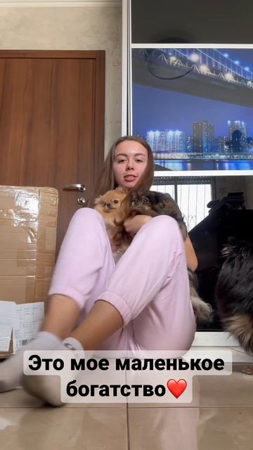 #израиль #померанский #шпиц #шпицуля #померанскийшпиц #любовь #любовькживотным