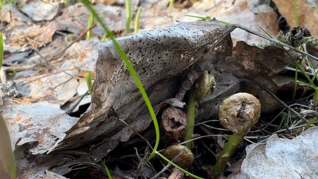 12d19d412490653e5f6e18ffd92c2311