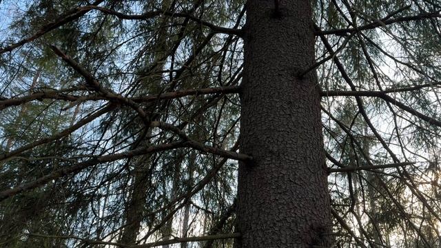 7bfcb84db98e193806433b197e4070bf