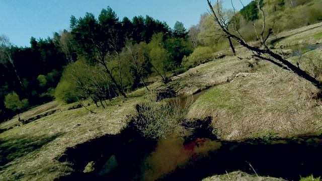 Дедовск, Масовка