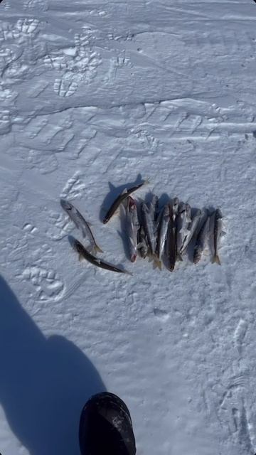 Ваще не скучно ))