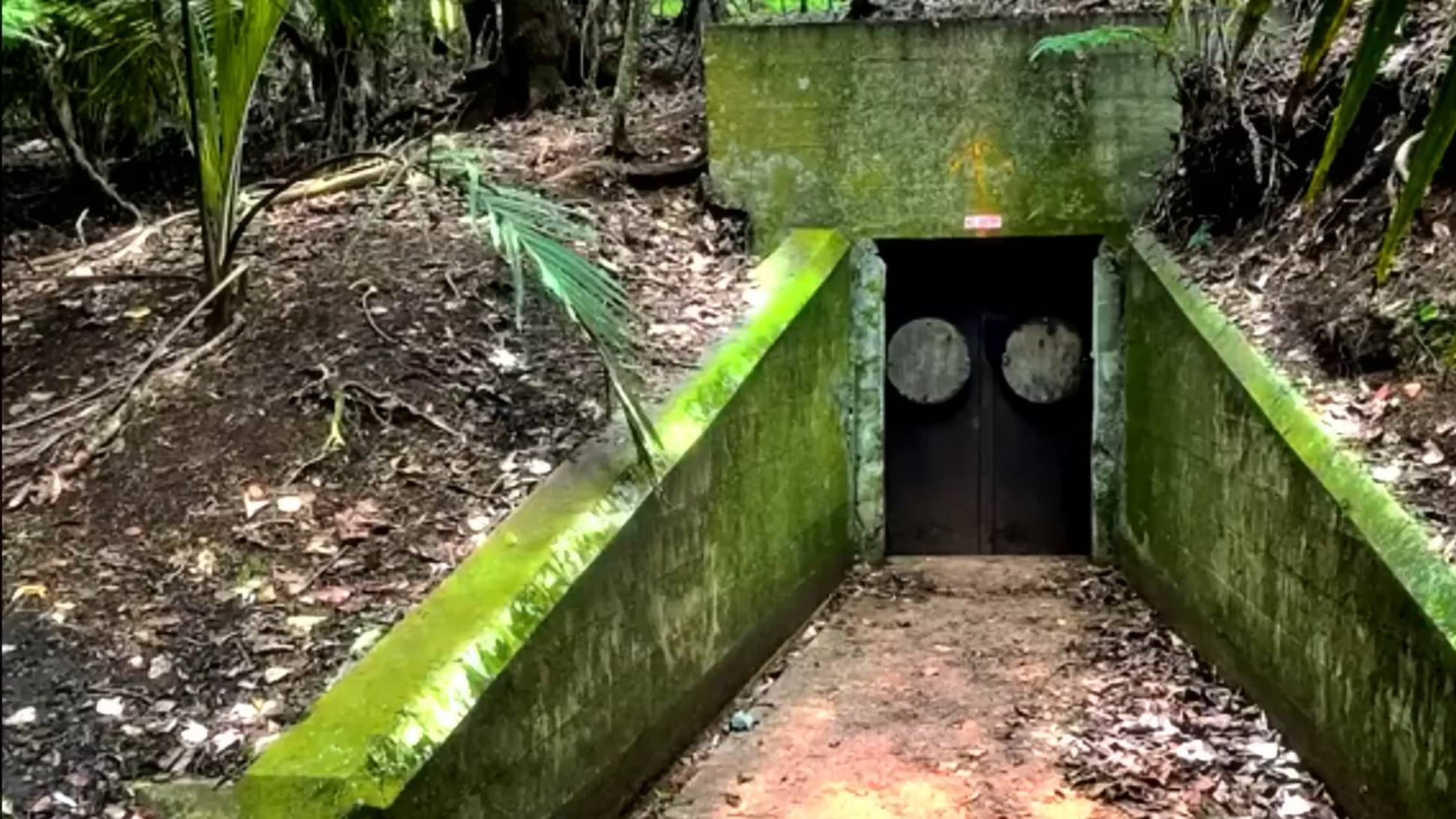 Эта_находка_пугает!_В_Новой_Зеландии_нашли_военные_бункеры_и_подземные