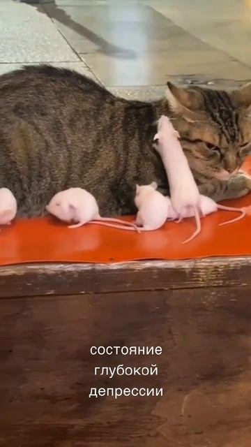 когда в состоянии депрессии