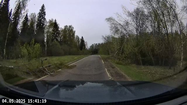 Последствия циклона 3 дня спустя. Едем по проводам и под сломанными столбами.