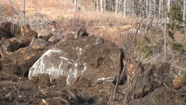 B50bc65f6eaea4886809e10ad7a77ed6