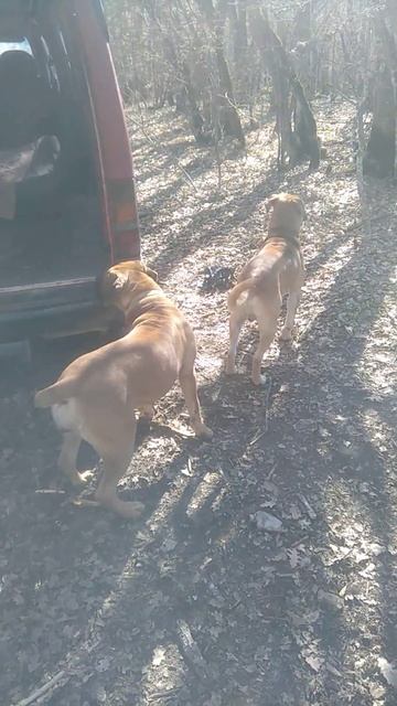 D6f31bf6-5a35-4b0a-98df-e61127c7f0ef-1_all_404.mp4