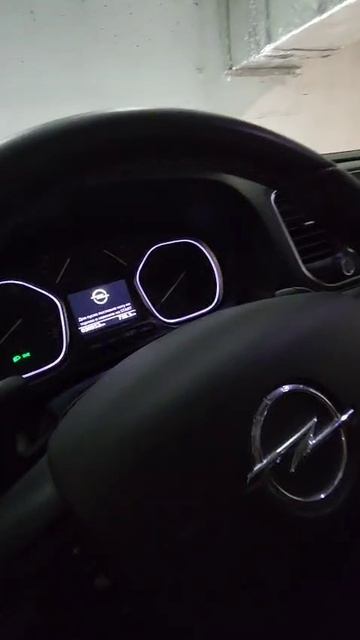 WhatsApp Video 2025-05-04 At 20.48.27