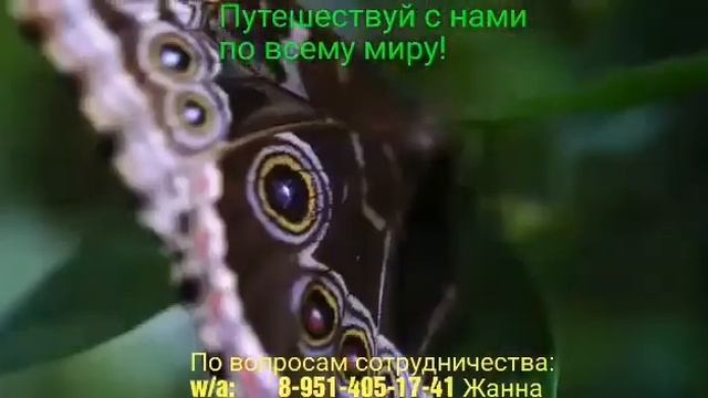 ПУТЕШЕСТВИЯ С GREENWAY. ХОЧЕШЬ ТАКЖЕ?  📲W/A: 8-951-405-17-41#greenway_путешествия#greenwayomsk#omsk