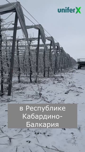 Сад прекрасен в любое время года