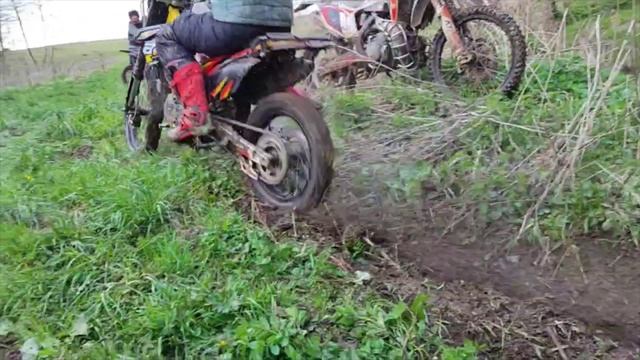 Арина_СНТ Муравей