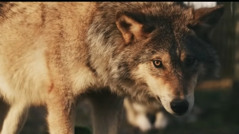 🌐Deep Chill Mix▶️ Suleymer🎧