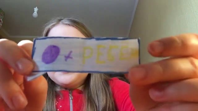 Посылка с сайта #SofiaToy