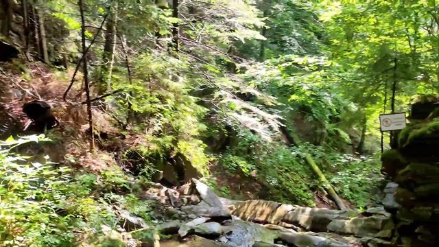 В 4К полонина ЗАЛІМ, Нарінецький водоспад, гора Хом'як та Синяк, водоспад Гук. Прогулка в Карпатах