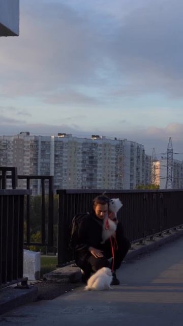 Как приучить щенка к лифту 2